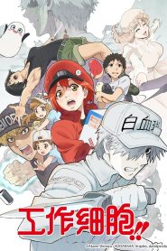 Hataraku Saibou 2 Temporada