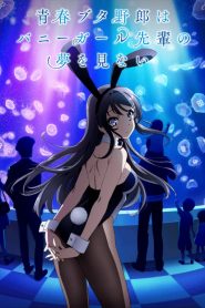 Seishun Buta Yarou wa Bunny Girl Senpai no Yume wo Minai - Episódio 13