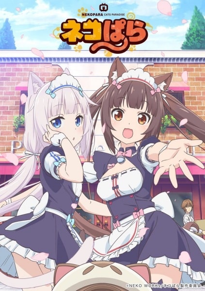 Nekopara - Episódio 12